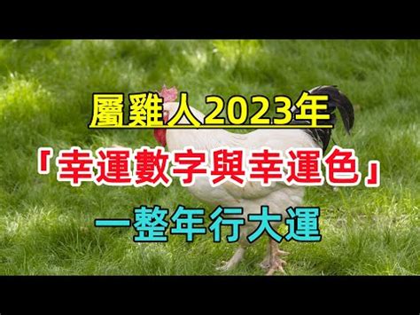 屬雞2023幸運色|2023年12生肖幸運月出爐！屬雞長達6個月都交好運